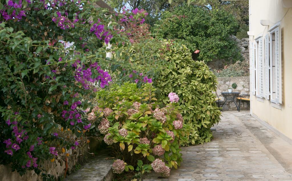 Villa Bona Dubrovník Exteriér fotografie