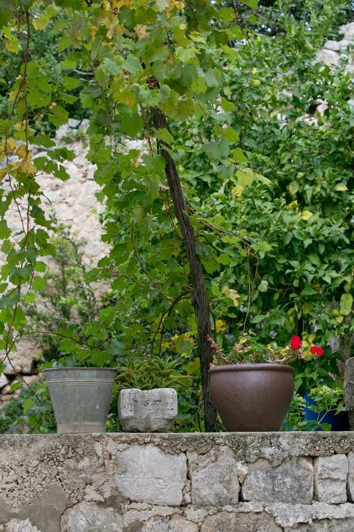 Villa Bona Dubrovník Exteriér fotografie